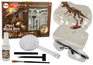 Archeologijos kasinėjimų rinkinys Dinozauro skeletas kaina ir informacija | Lavinamieji žaislai | pigu.lt