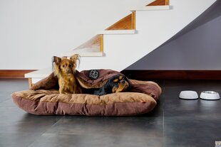 Лежак для домашних животных Amibelle Rockford Royal, коричневый цена и информация | Лежаки, домики | pigu.lt