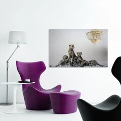 Настенный печатный холст с Леопардами Декор интерьера - 120 х 78 см цена и информация | Репродукции, картины | pigu.lt