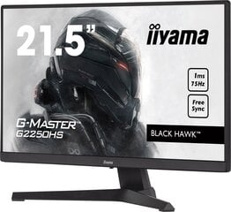 Монитор Iiyama G2250HS-B1 цена и информация | Мониторы | pigu.lt