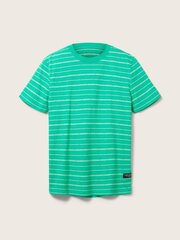 Tom Tailor мужская футболка 1035594*31374, зелёный/белый 4065869819398 цена и информация | Футболка мужская | pigu.lt