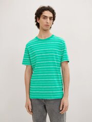 Tom Tailor мужская футболка 1035594*31374, зелёный/белый 4065869819398 цена и информация | Футболка мужская | pigu.lt