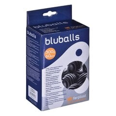 Filtro kasetė Hydor Bluballs, 300 g цена и информация | Аквариумы и оборудование | pigu.lt