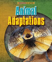 Animal Adaptations цена и информация | Книги для подростков  | pigu.lt