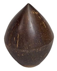 Kokoso formos šeikeris Terre kaina ir informacija | Perkusija | pigu.lt