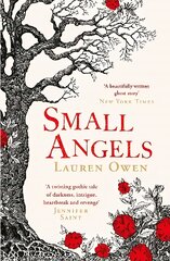 Small Angels: 'A twisting gothic tale of darkness, intrigue, heartbreak and revenge' Jennifer Saint цена и информация | Fantastinės, mistinės knygos | pigu.lt