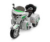 Vienvietis vaikiškas elektrinis motociklas Toyz Riot, pilkas цена и информация | Elektromobiliai vaikams | pigu.lt