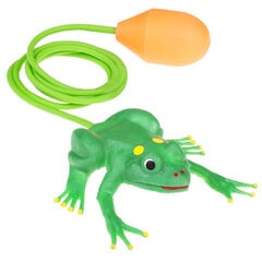 Žaislinė šokinėjanti varlė kaina ir informacija | Lavinamieji žaislai | pigu.lt