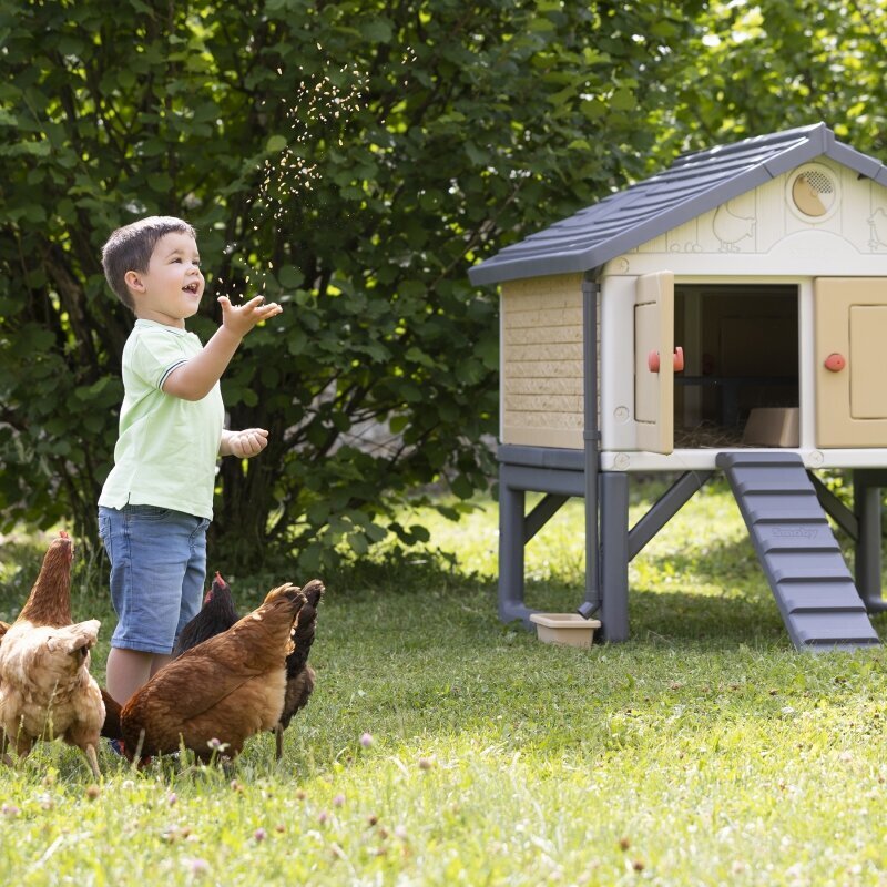 Vištidė Smoby Cluck Chicken Coop kaina ir informacija | Vaikų žaidimų nameliai | pigu.lt