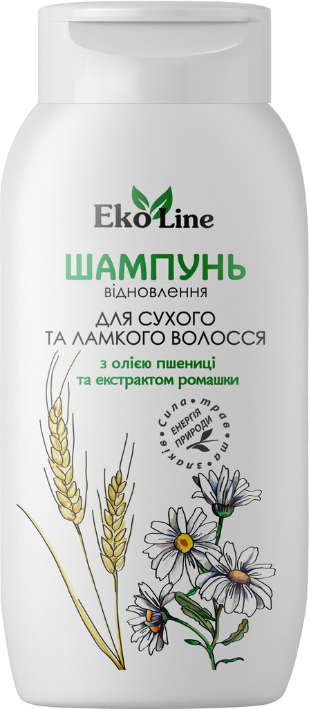 Šampūnas sausiems plaukams Eko Līnija, 400 ml kaina ir informacija | Šampūnai | pigu.lt