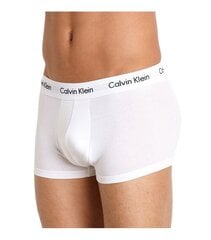 Мужские трусы Calvin Klein U2664G-100 цена и информация | Трусы | pigu.lt