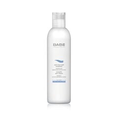 BABE HAIR ŠAMPŪNS PRET TAUKAINĀM BLAUGZNĀM 250ML цена и информация | Шампуни | pigu.lt