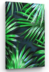 Картина Palmtree Leaf цена и информация | Репродукции, картины | pigu.lt