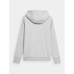 4F Džemperis moterims, pilkas kaina ir informacija | Sportinė apranga moterims | pigu.lt