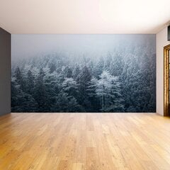 Фотообои Снежный лес Обои с эффектом зимнего леса Декор интерьера  - 390 х 280 см цена и информация | Интерьерные наклейки | pigu.lt