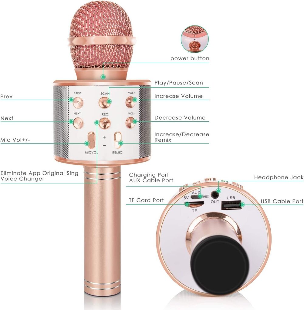 TWS Karaoke Microphone Bluetooth цена и информация | Mikrofonai | pigu.lt