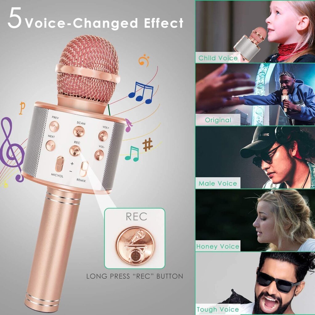 TWS Karaoke Microphone Bluetooth цена и информация | Mikrofonai | pigu.lt