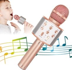 Беспроводной микрофон Bluetooth динамик, золотой цена и информация | Микрофоны | pigu.lt
