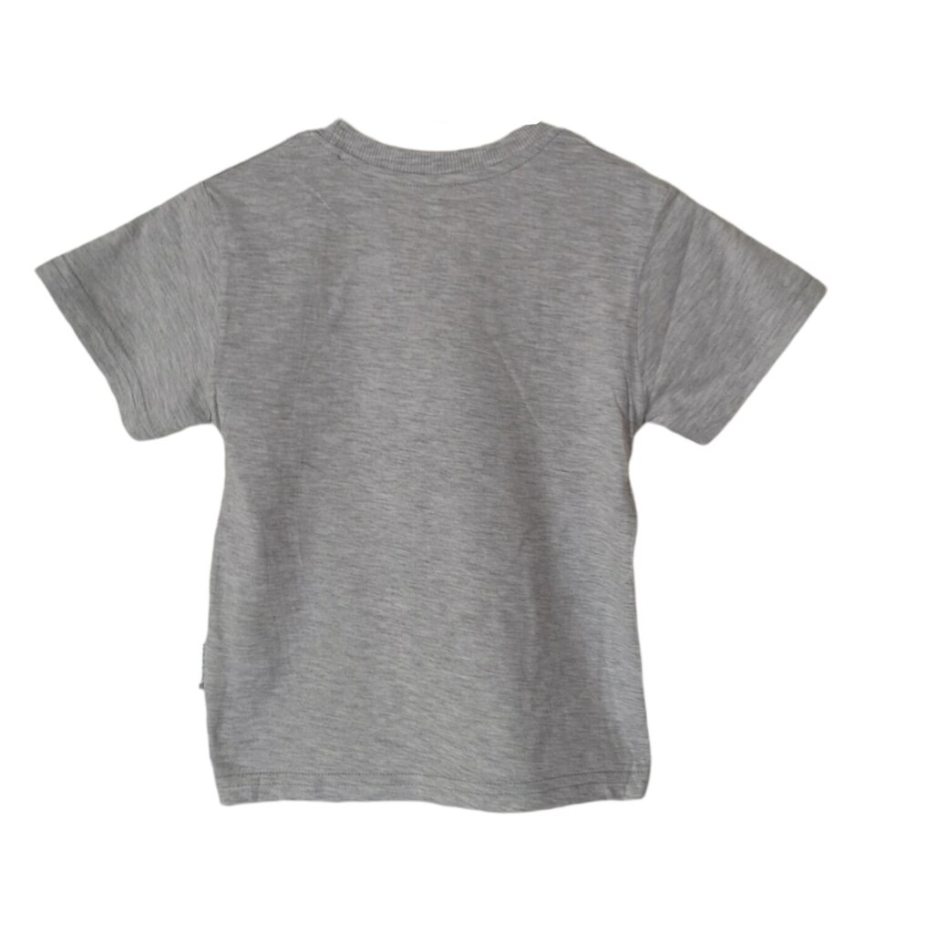 Marškinėliai trumpomis rankovėmis berniukams  Unruly kaina ir informacija | Marškinėliai berniukams | pigu.lt