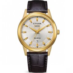 Moteriškas laikrodis Citizen AW0102-13AE AW0102-13AE kaina ir informacija | Moteriški laikrodžiai | pigu.lt