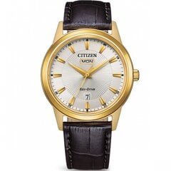 Citizen Eco-Drive AW0102-13AE AW0102-13AE цена и информация | Женские часы | pigu.lt