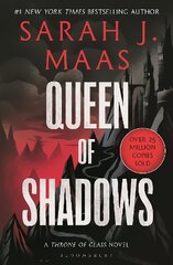 Queen of Shadows: From the # 1 Sunday Times best-selling author of A Court of Thorns and Roses цена и информация | Фантастика, фэнтези | pigu.lt