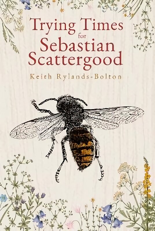Trying Times for Sebastian Scattergood kaina ir informacija | Fantastinės, mistinės knygos | pigu.lt