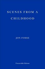 Scenes from a Childhood цена и информация | Fantastinės, mistinės knygos | pigu.lt