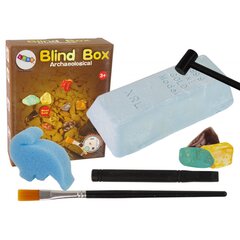 Kasimo mineralų Lean Toys Blind Box rinkinys kaina ir informacija | Lavinamieji žaislai | pigu.lt