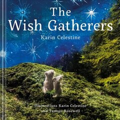 Wish Gatherers kaina ir informacija | Fantastinės, mistinės knygos | pigu.lt