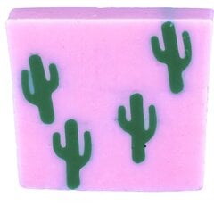 Muilas Cactus Makes Perfect Soap Slice, 100g цена и информация | Мыло | pigu.lt