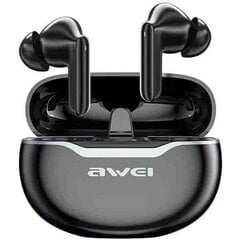 Awei T50 Pro цена и информация | Теплая повязка на уши, черная | pigu.lt