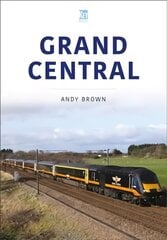 Grand Central цена и информация | Путеводители, путешествия | pigu.lt
