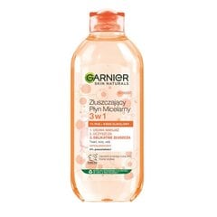 Micelinis vanduo Garnier Skin Naturals 3 in 1, 400 ml kaina ir informacija | Veido prausikliai, valikliai | pigu.lt