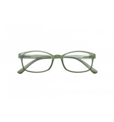 Brilles lasīšanai 7111 D1.25 Olive цена и информация | Очки | pigu.lt