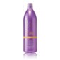 Plaukų šampūnas nepaklusniems plaukams Inebrya Ice Cream Liss Pro Liss Perfect Shampoo, 1000 ml kaina ir informacija | Šampūnai | pigu.lt