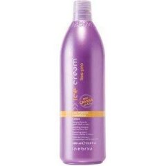 Plaukų šampūnas nepaklusniems plaukams Inebrya Ice Cream Liss Pro Liss Perfect Shampoo, 1000 ml цена и информация | Шампуни | pigu.lt