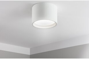 LED lubų šviestuvas Arcco, 15W, 1350LM, 4000K, IP44 kaina ir informacija | Lubiniai šviestuvai | pigu.lt