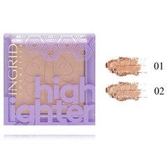 Švytėjimą suteikianti priemonė veidui Ingrid Flawless Highlighter Glow, 01, 8 g цена и информация | Бронзеры (бронзаторы), румяна | pigu.lt