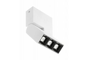 LED šviestuvas Sierra lubų, 8w, 720lm, 4000K, IP20, baltas kaina ir informacija | Lubiniai šviestuvai | pigu.lt