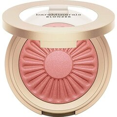 Bronzeris bareMinerals Gen Nude Kiss of pink Vandeninis tepalas 165 ml (3,8 g) kaina ir informacija | Bronzantai, skaistalai | pigu.lt