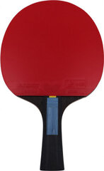 Stalo teniso raketė Butterfly Ovtcharov Sapphire 85222 kaina ir informacija | Stalo teniso raketės, dėklai ir rinkiniai | pigu.lt