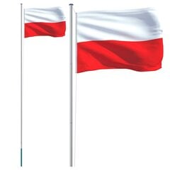 VidaXL Lenkijos vėliava su stiebu, 6,23 m kaina ir informacija | Vėliavos ir jų priedai | pigu.lt