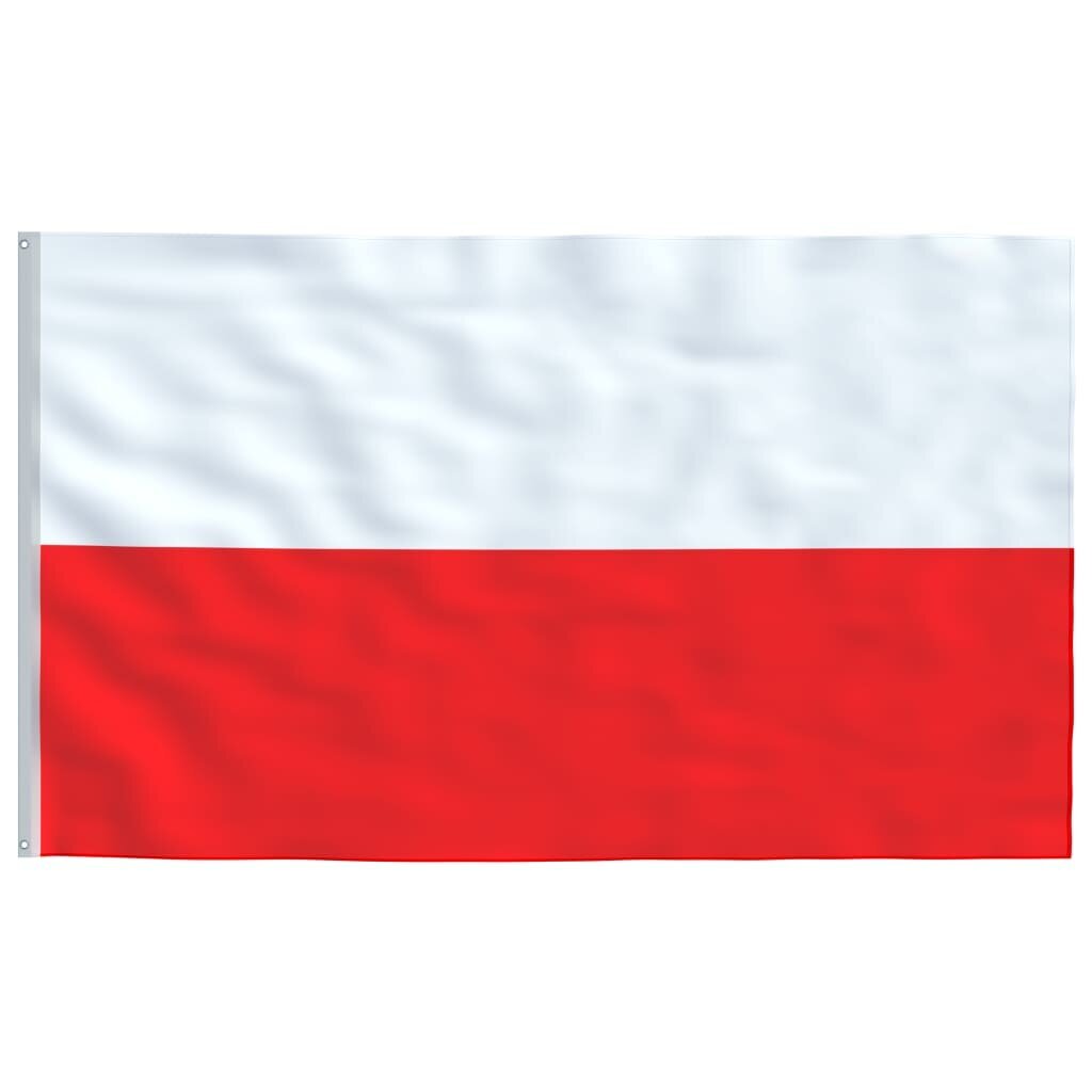 VidaXL Lenkijos vėliava su stiebu, 6,23 m цена и информация | Vėliavos ir jų priedai | pigu.lt