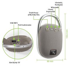 Bluetooth 5.3 Wireless Techly 5W Tws LED USB / TF MP3 цена и информация | Аудиоколонки | pigu.lt