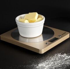 Электронные цифровые кухонные весы Salter 1036 OLFEU16 Olympic Disc  цена и информация | Весы (кухонные) | pigu.lt
