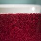 Vonios kilimėlis Sealskin kaina ir informacija | Vonios kambario aksesuarai | pigu.lt