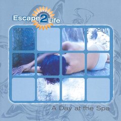 CD - A Day At The Spa цена и информация | Виниловые пластинки, CD, DVD | pigu.lt