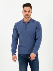 Свитер для мужчин Storgio, синий цена и информация | Мужские свитера | pigu.lt