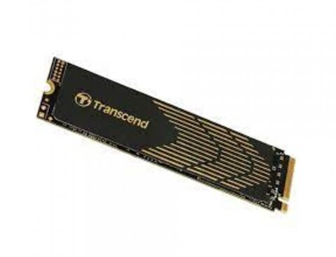 Transcend TS2TMTE250S цена и информация | Vidiniai kietieji diskai (HDD, SSD, Hybrid) | pigu.lt